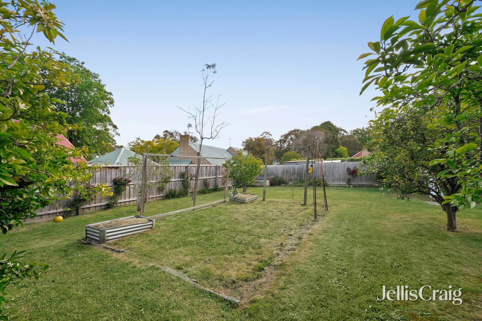 6 Julie Road, Croydon image 17