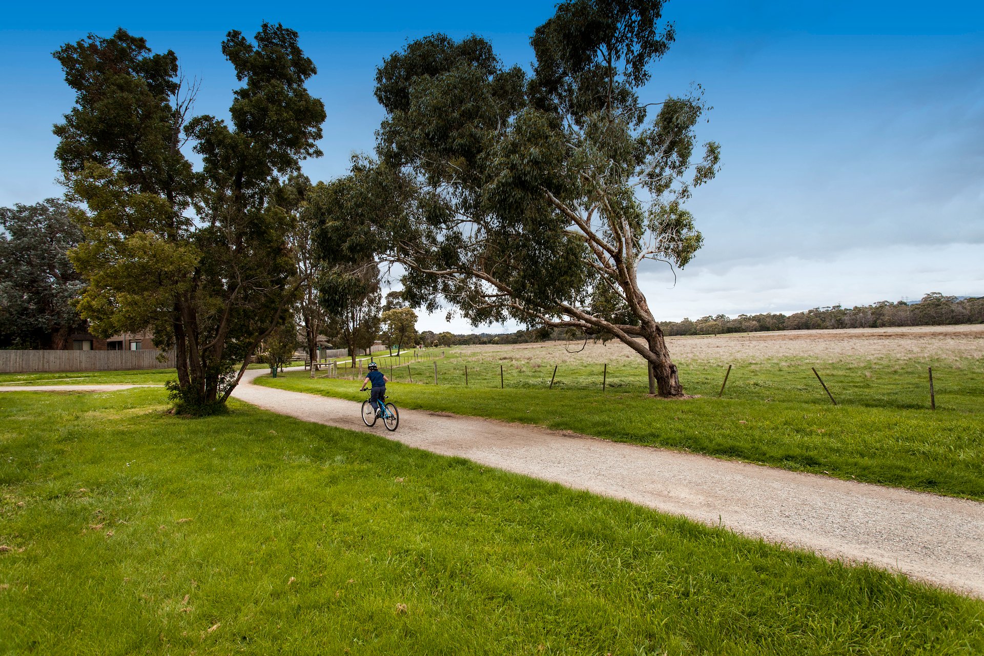 6 Knights Drive, Glen Waverley image 11