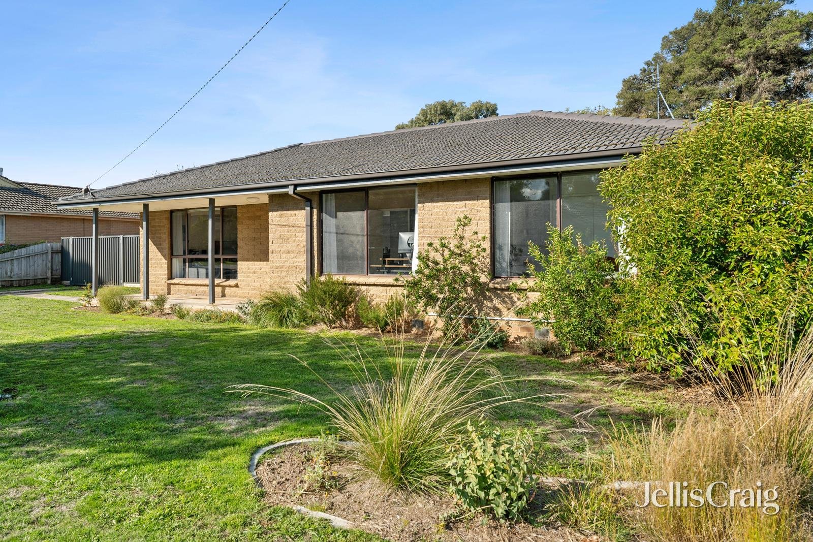 6 Lewis Court, Sebastopol image 13