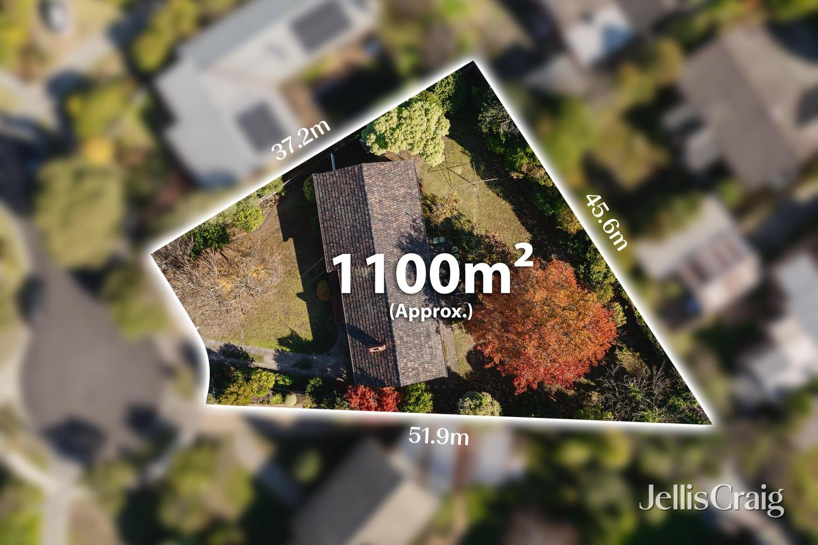 6 Louise Court, Glen&nbsp;Waverley image 10