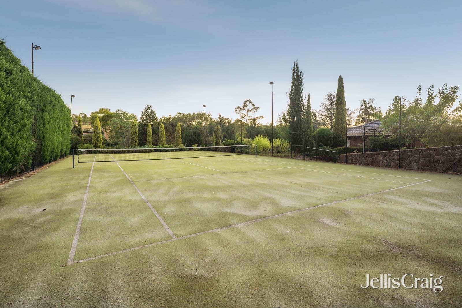 6 Lucieer Court, Templestowe image 17