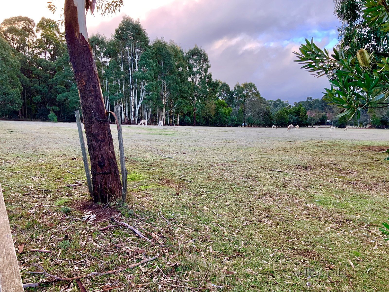 6 Manna Lane, Trentham image 2