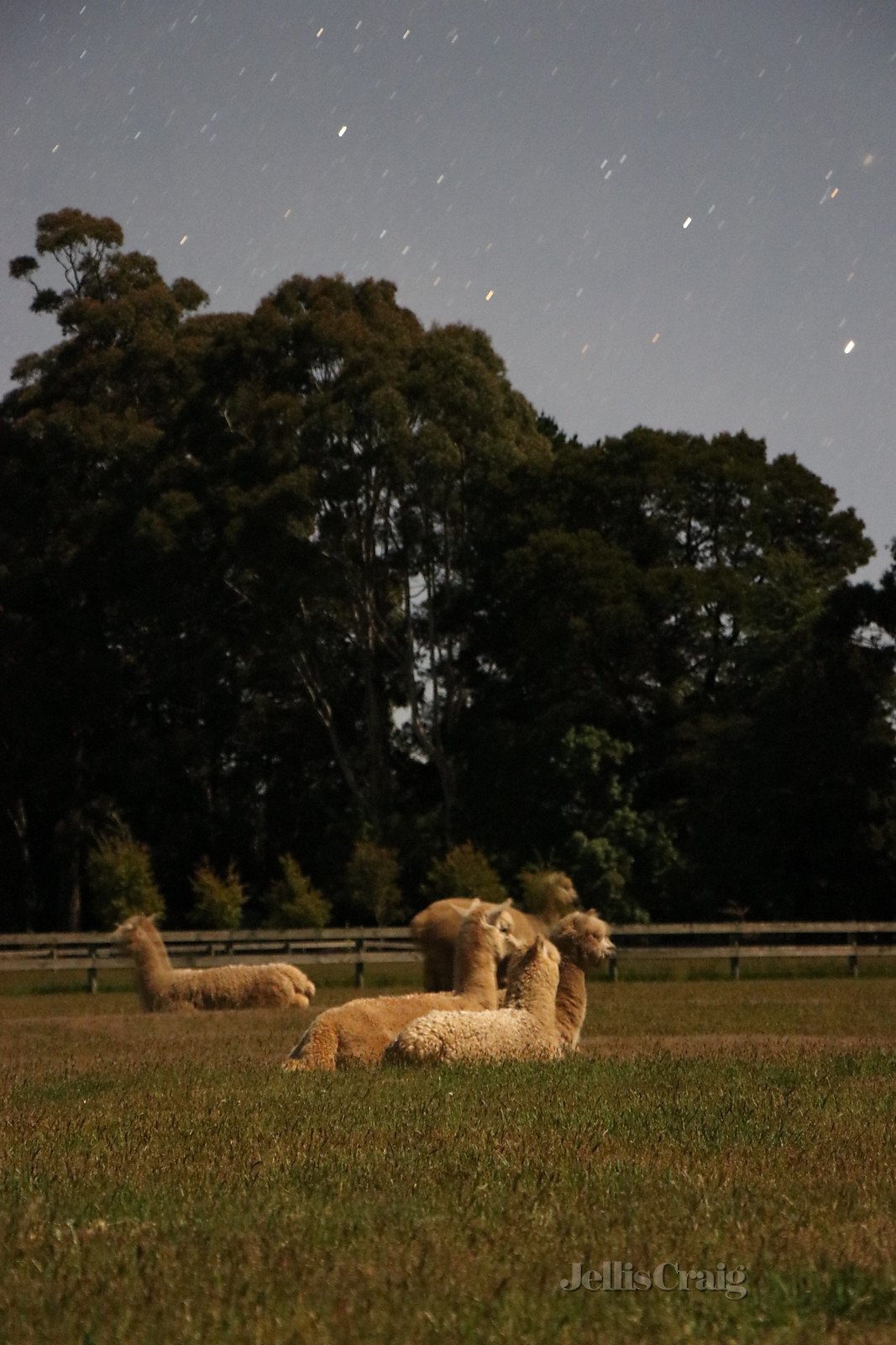 6 Manna Lane, Trentham image 4