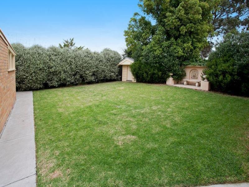 6 Neiley Street, Newtown image 6