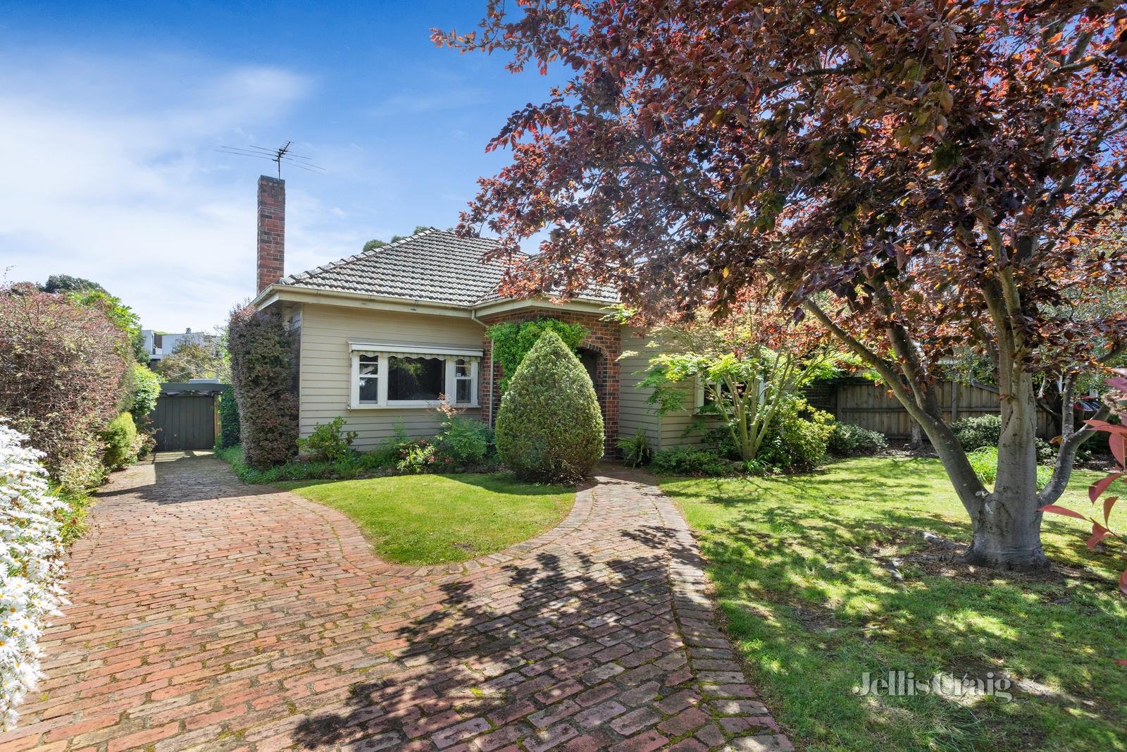 6 Netherway Street, Camberwell image 3
