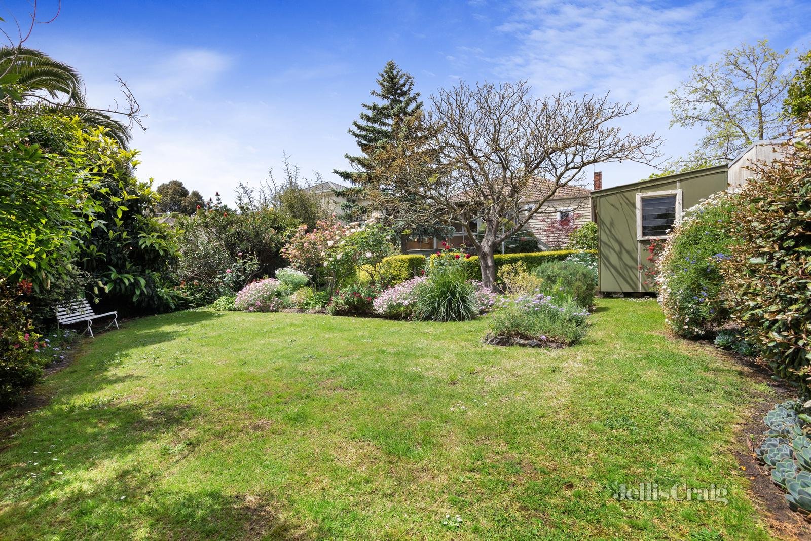 6 Netherway Street, Camberwell image 8