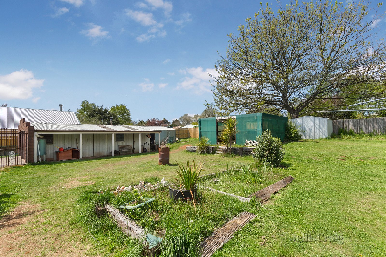 6 Park Street, Trentham image 6