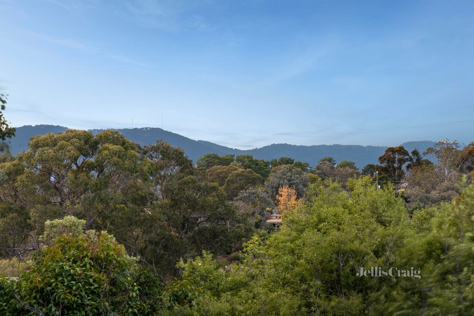 6 Paynters Road, Wonga Park image 23