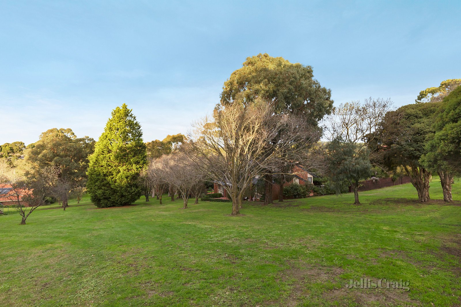 6 Ramsay Close, Doncaster East image 10