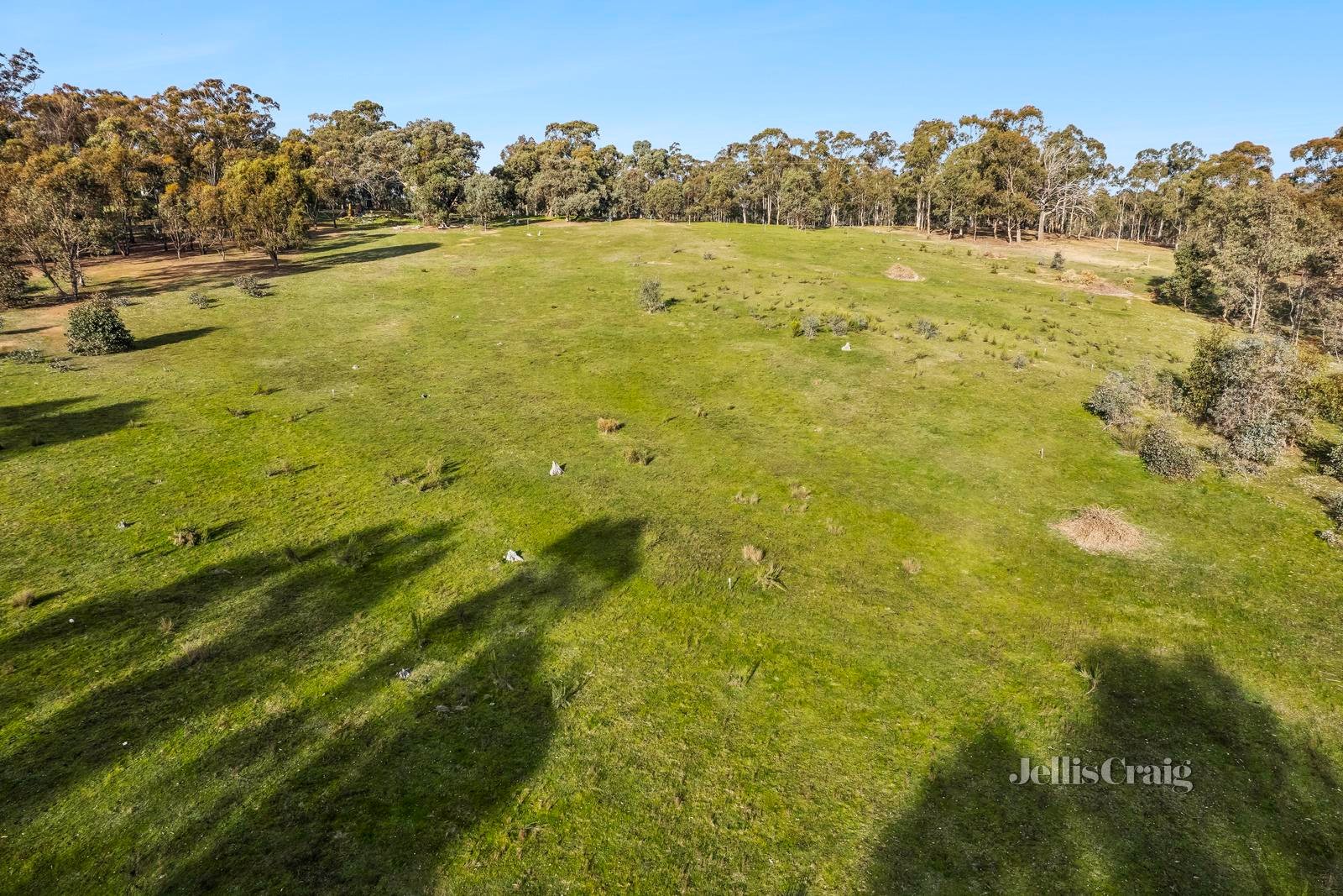 6 Robertson Avenue, Castlemaine image 2