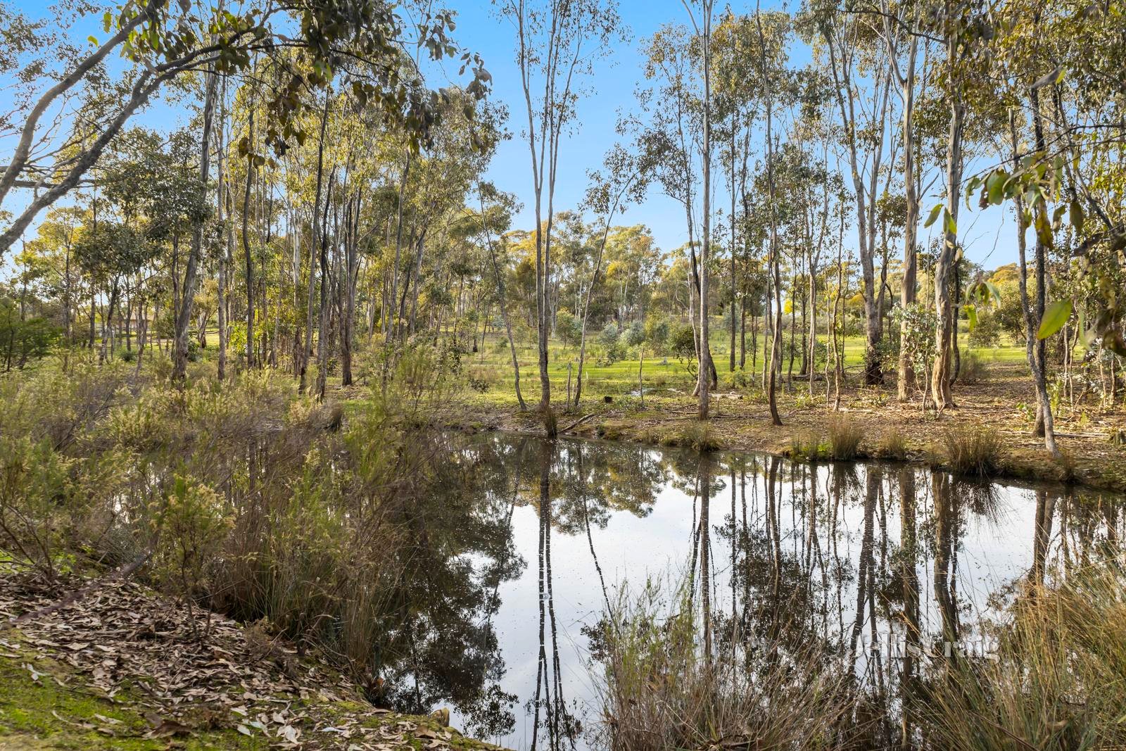 6 Robertson Avenue, Castlemaine image 4