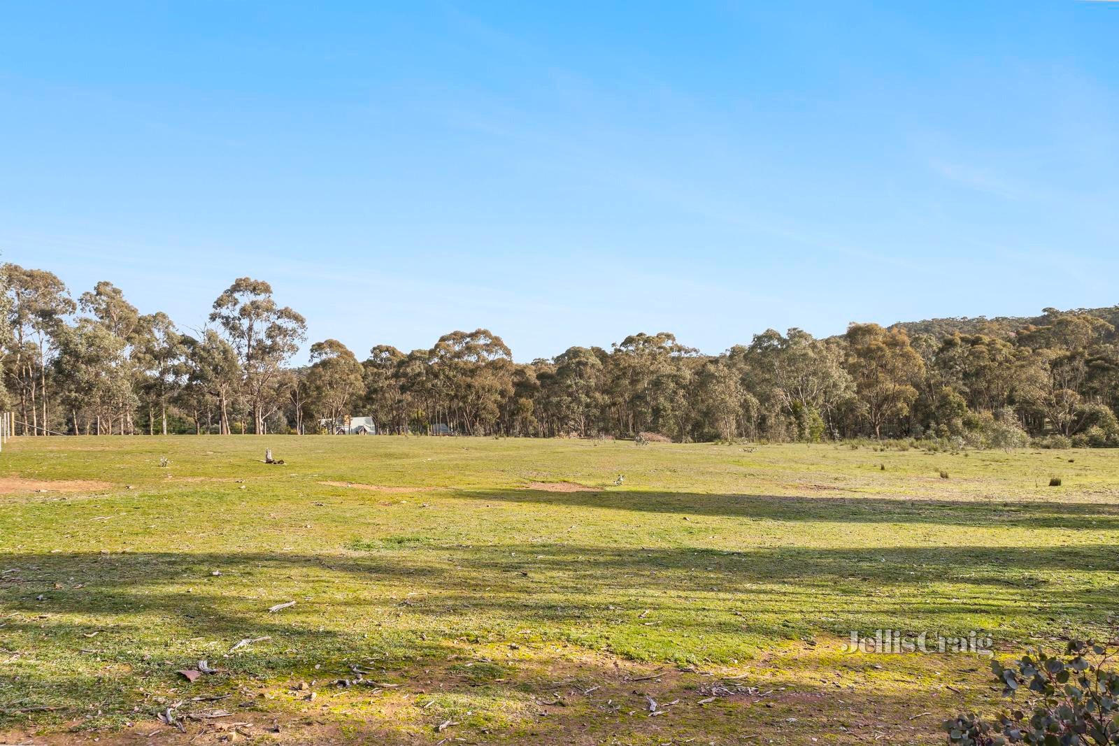 6 Robertson Avenue, Castlemaine image 6