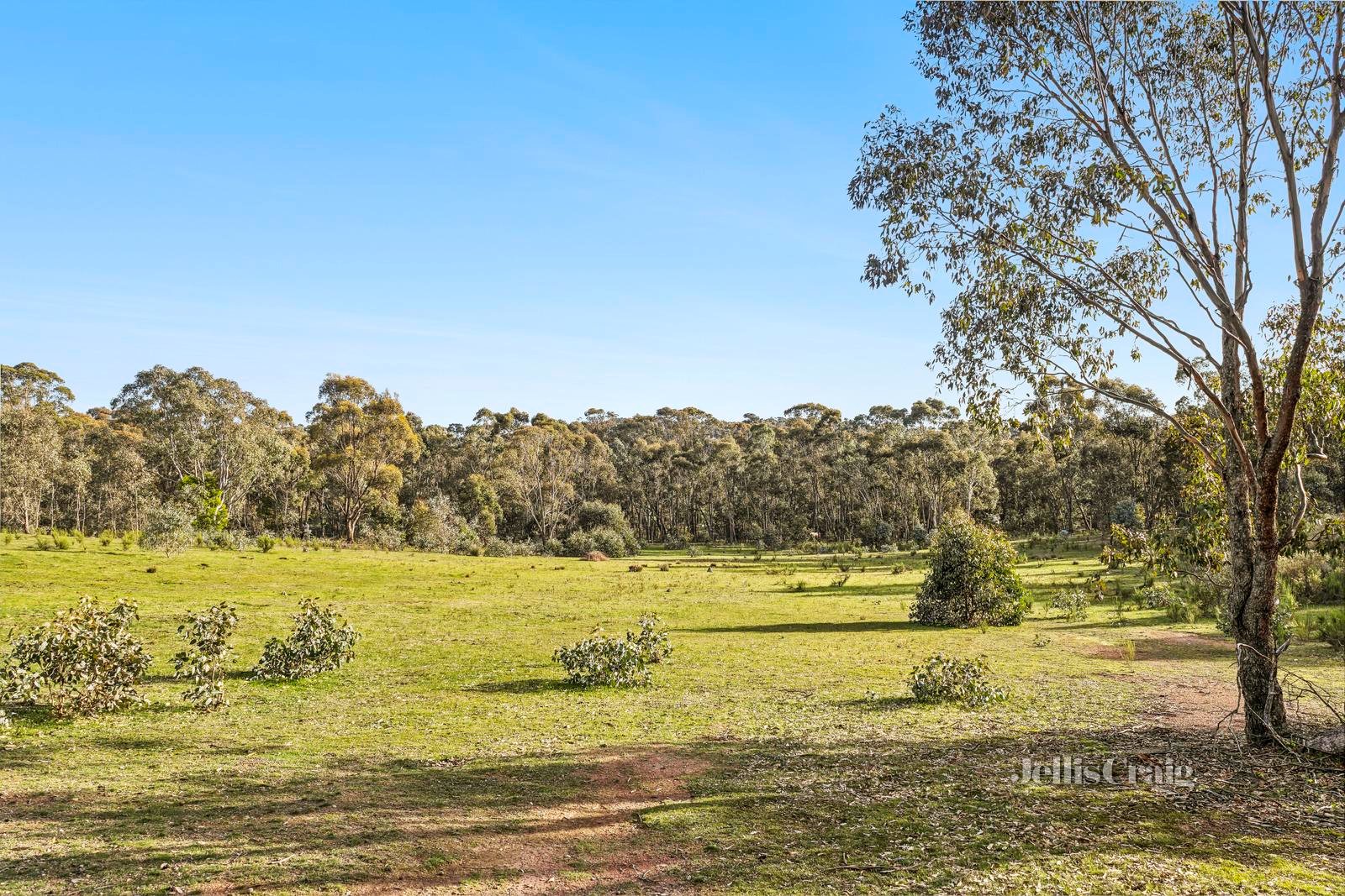 6 Robertson Avenue, Castlemaine image 7