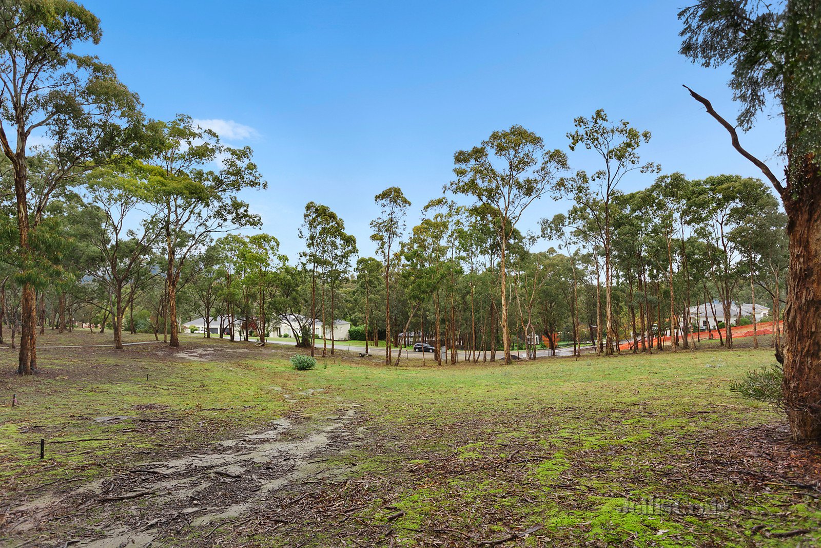 6 Rush Place, Warrandyte image 3