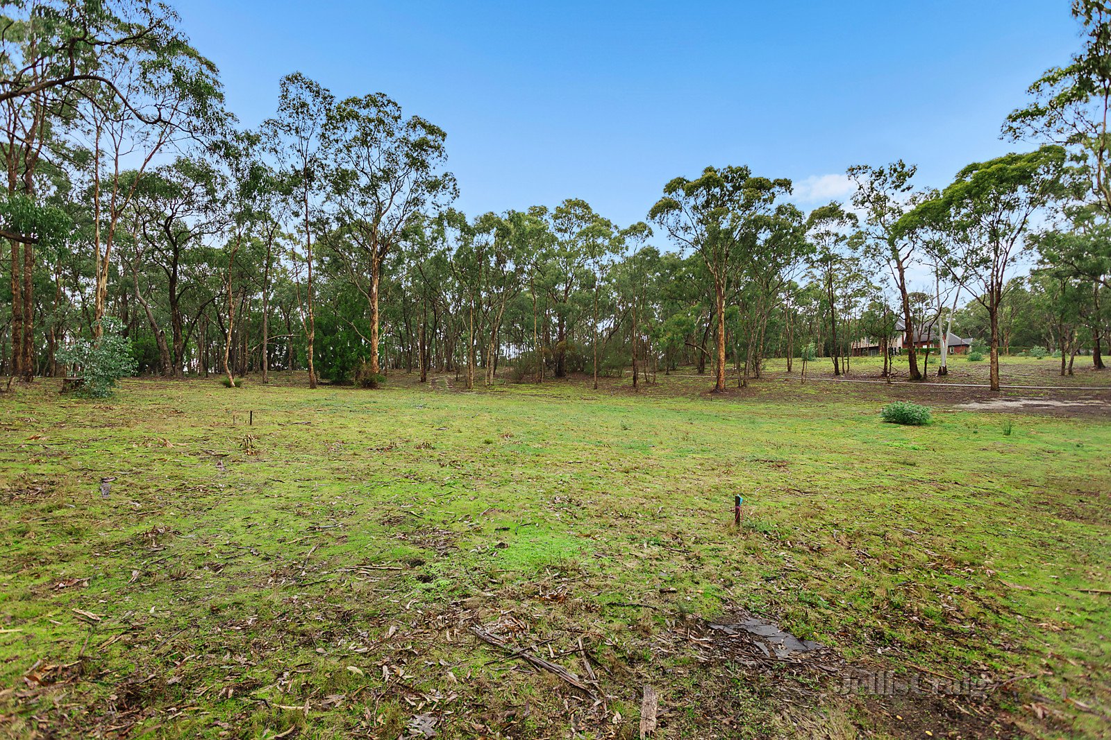 6 Rush Place, Warrandyte image 4