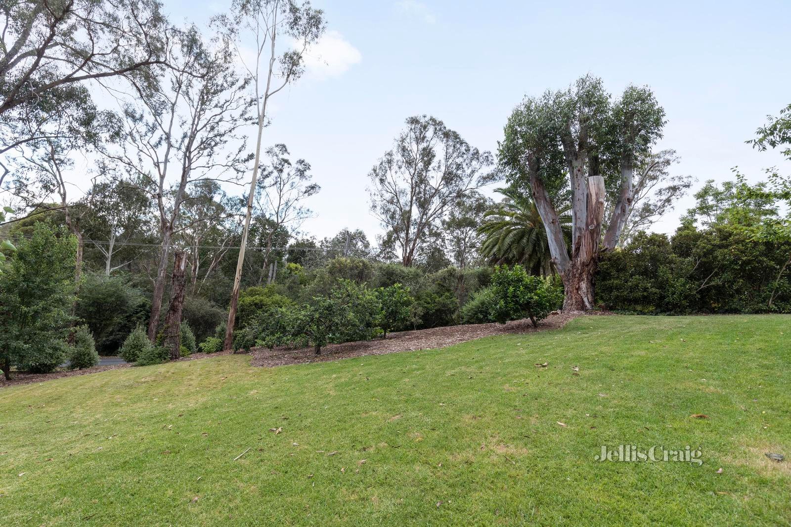 6 Russell Road, Warrandyte image 14