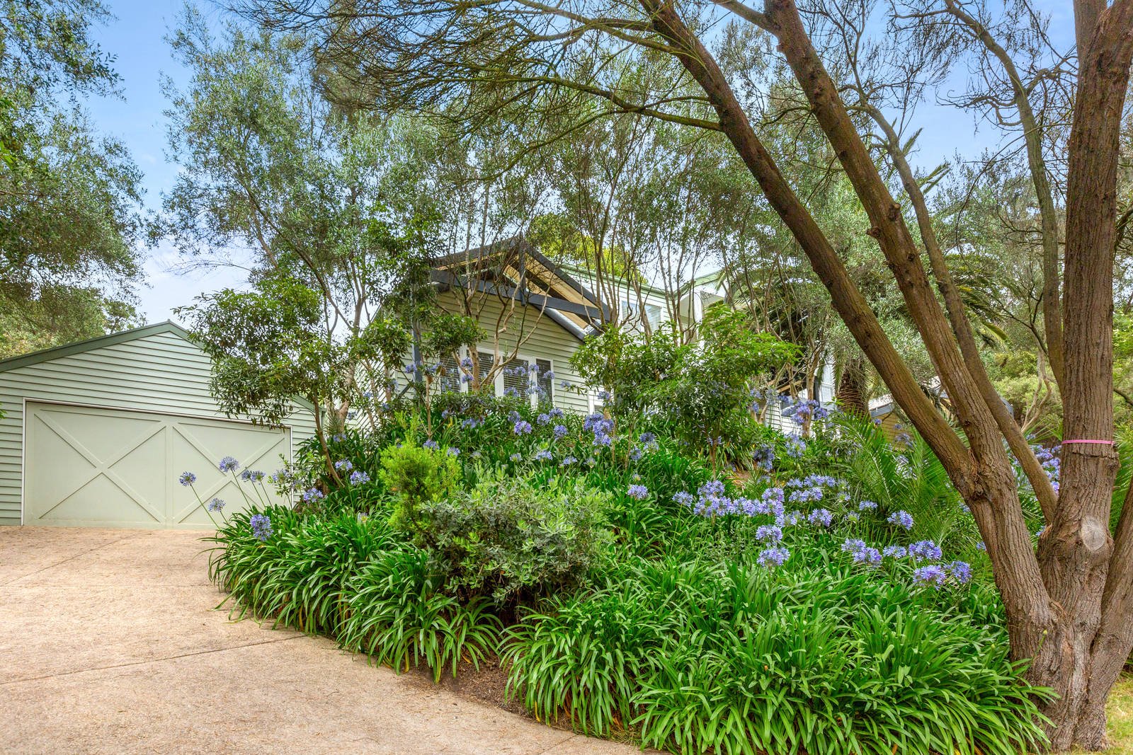 Property Gallery - Main Image
