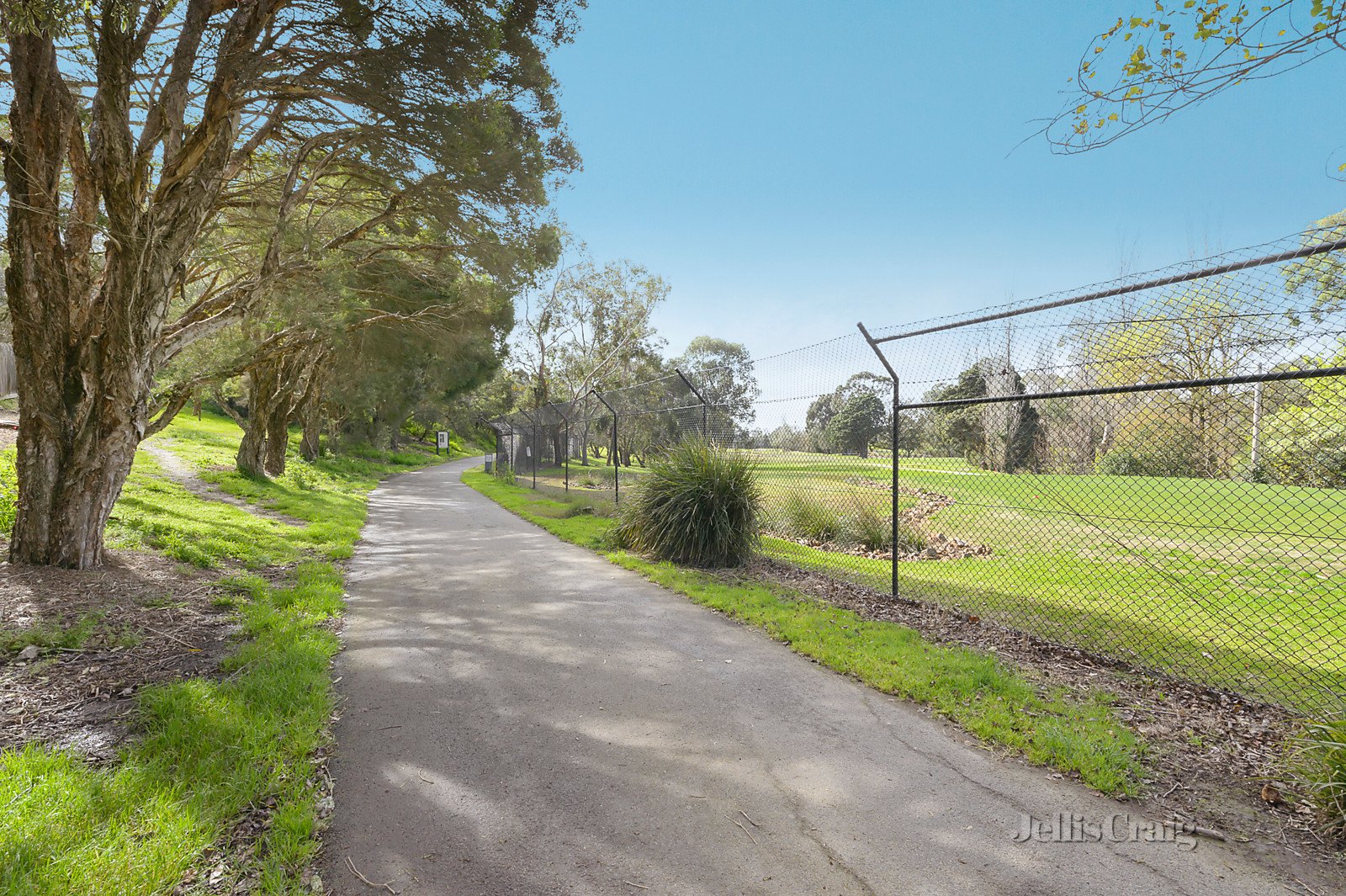 6 Sycamore Street, Box Hill South image 12