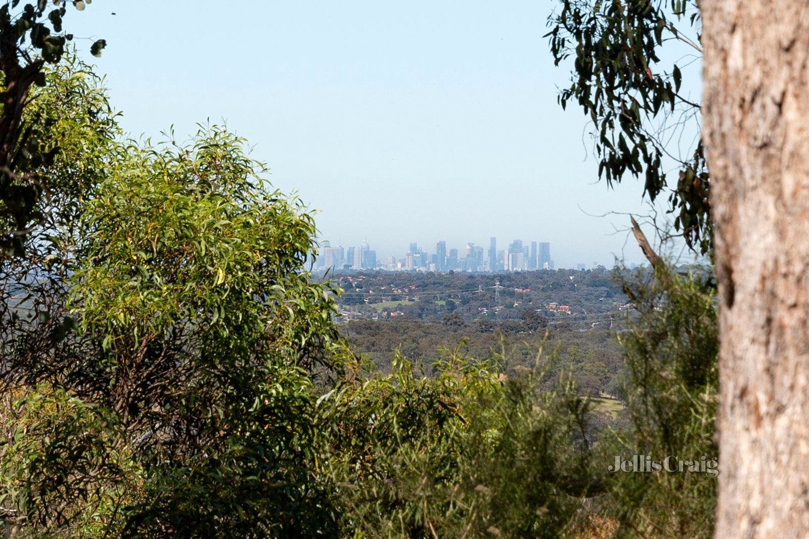 6 Taylor Road, Hurstbridge image 20