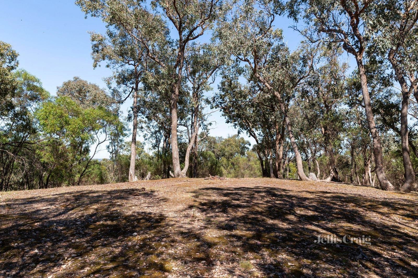 6 Taylor Road, Hurstbridge image 21