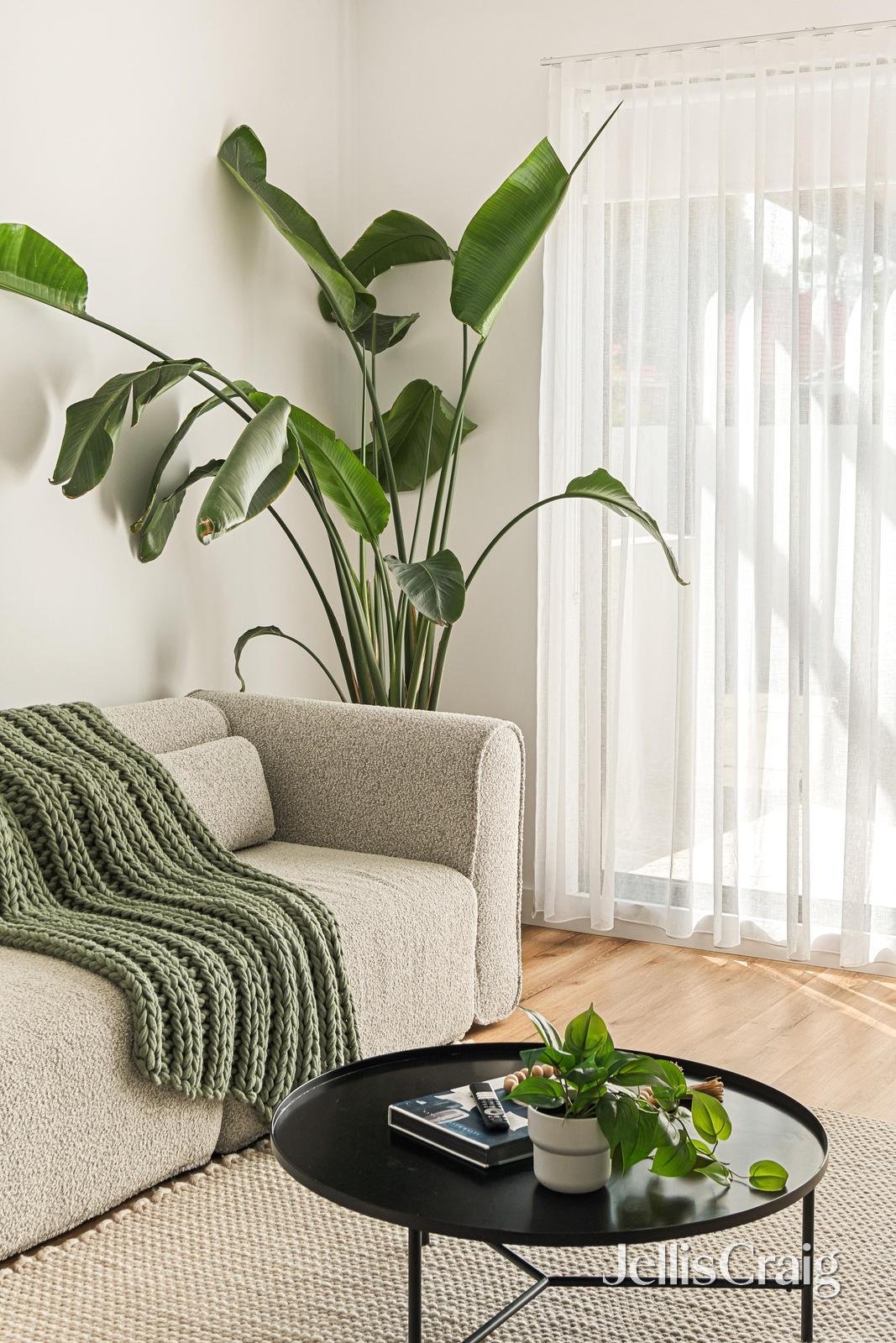 6 Thomas Court, Parkdale image 7