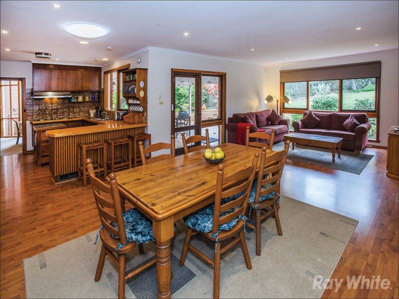 6 Ursula Close, Wheelers Hill image 5
