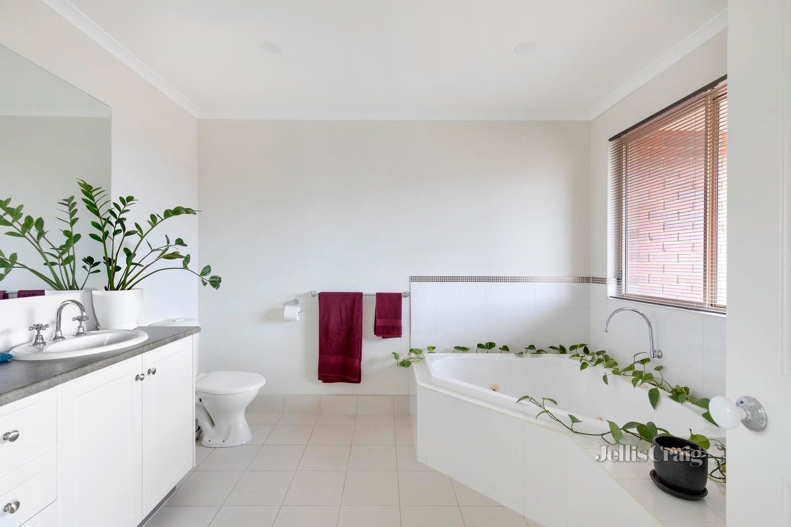 6 Vista Grove, Viewbank image 9