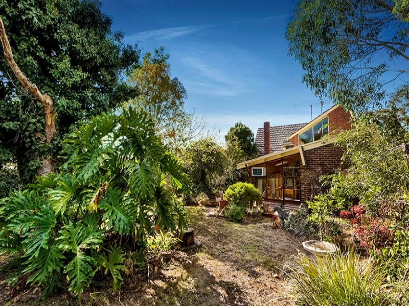 6 Wills Street, Balwyn image 11
