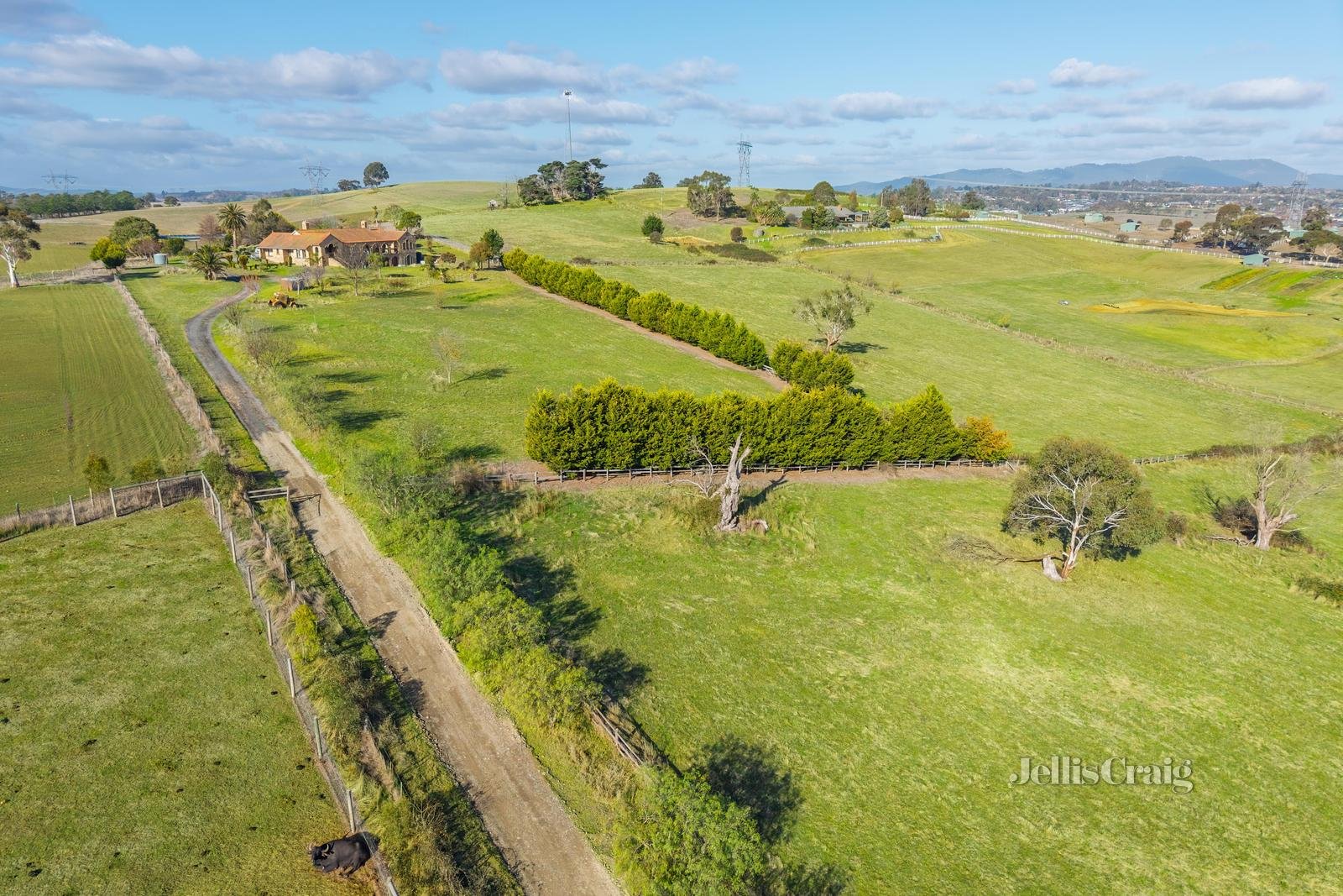 6 Woorarra Court, Chirnside Park image 13