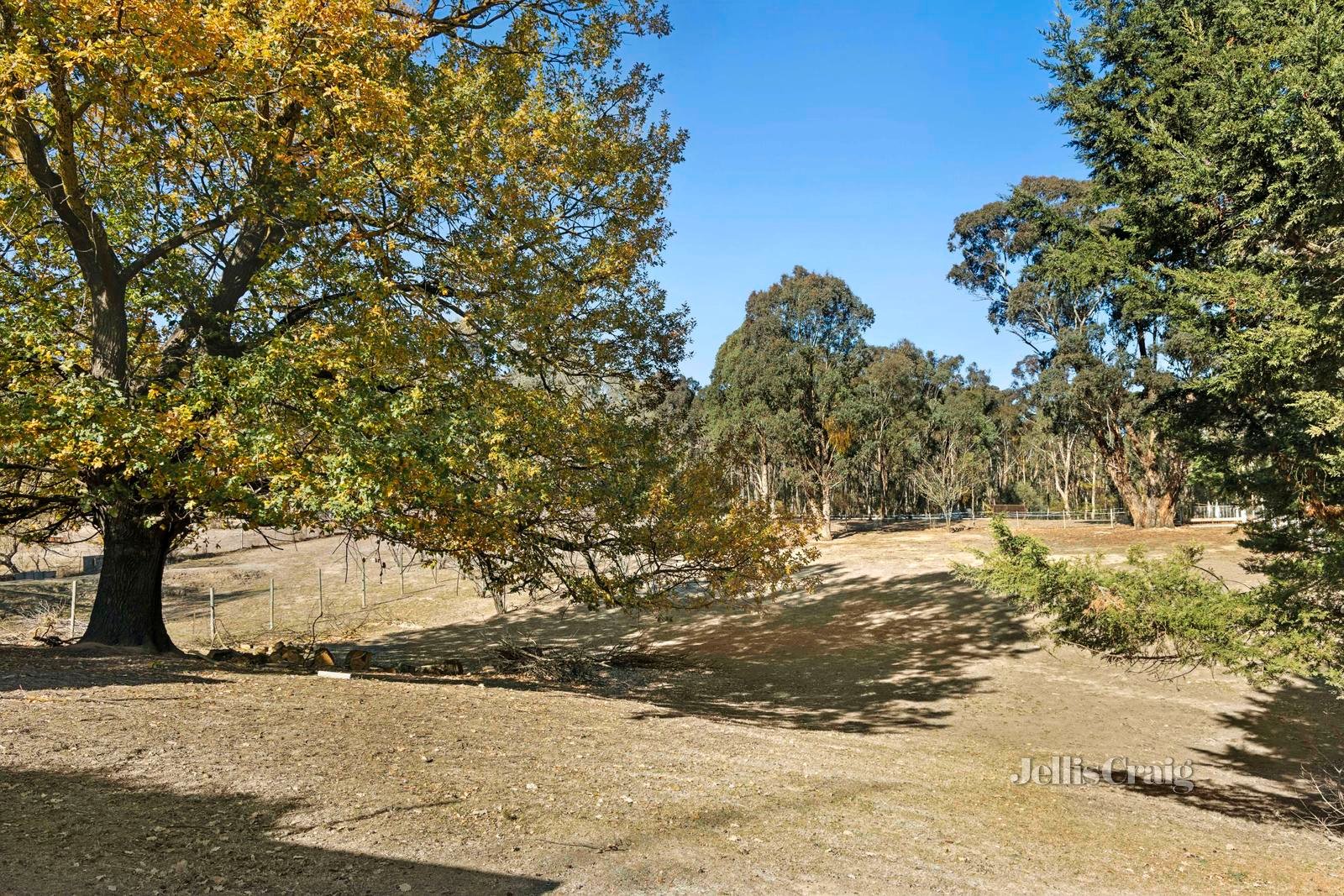 60 Castlemaine Street, Fryerstown image 3