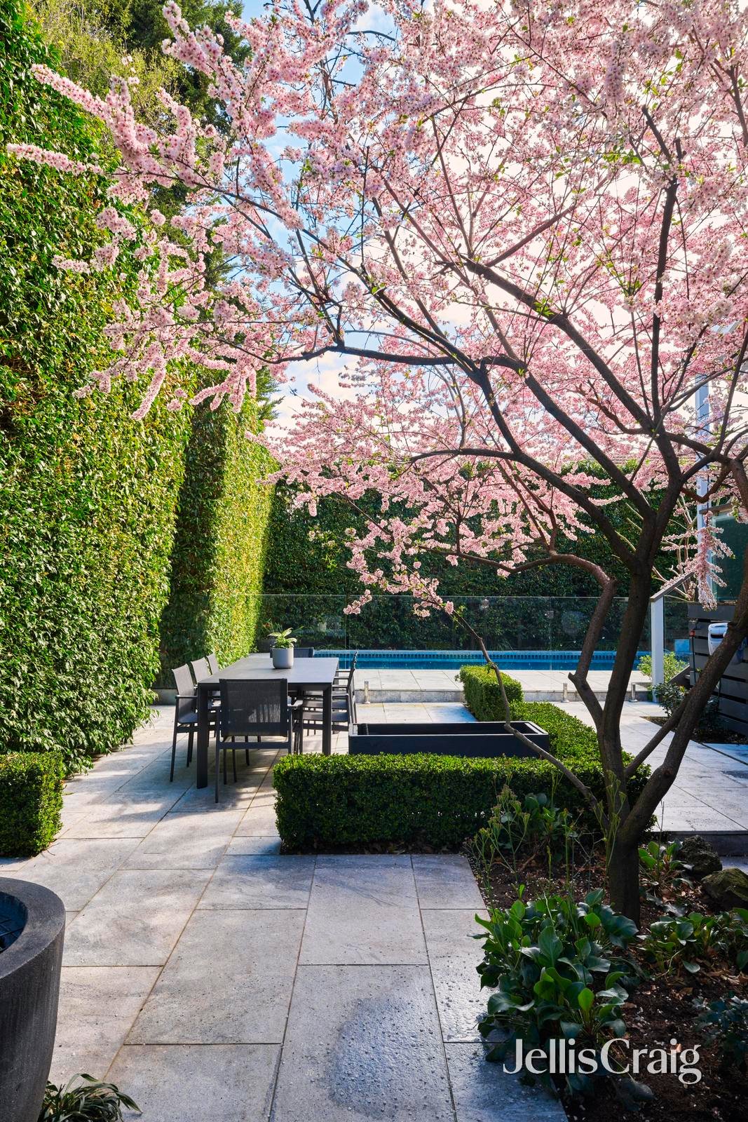 60 Croydon Road, Surrey&nbsp;Hills image 13