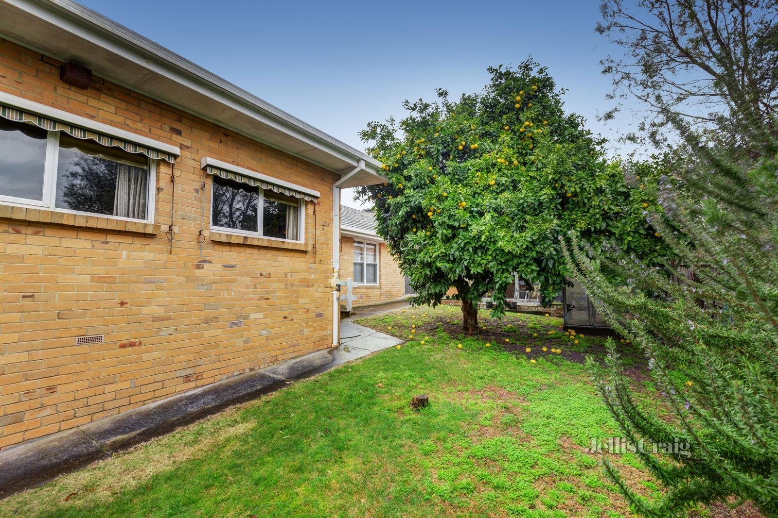 60 Darbyshire Road, Mount Waverley image 6