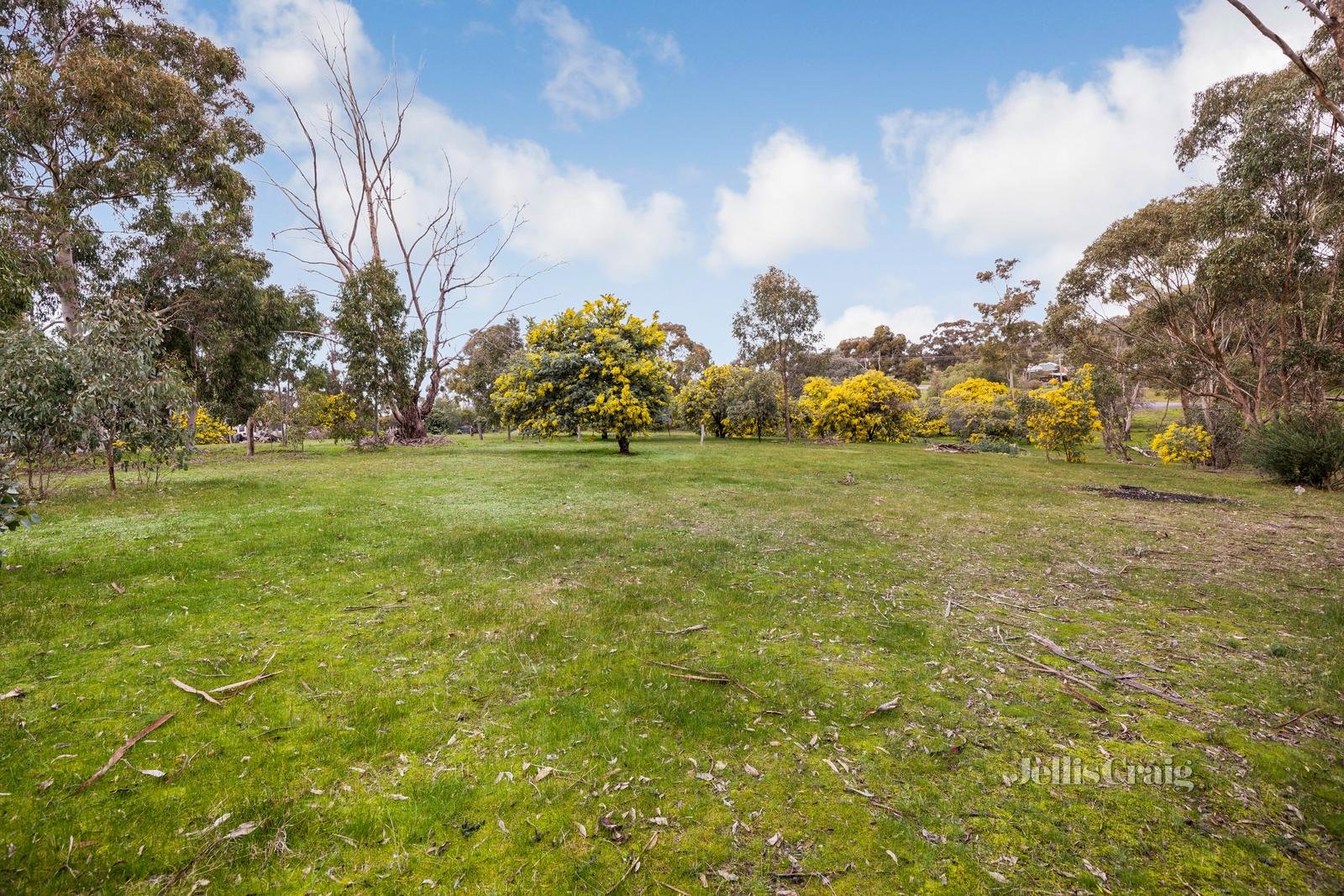 60 Franklin Street, Maldon image 4