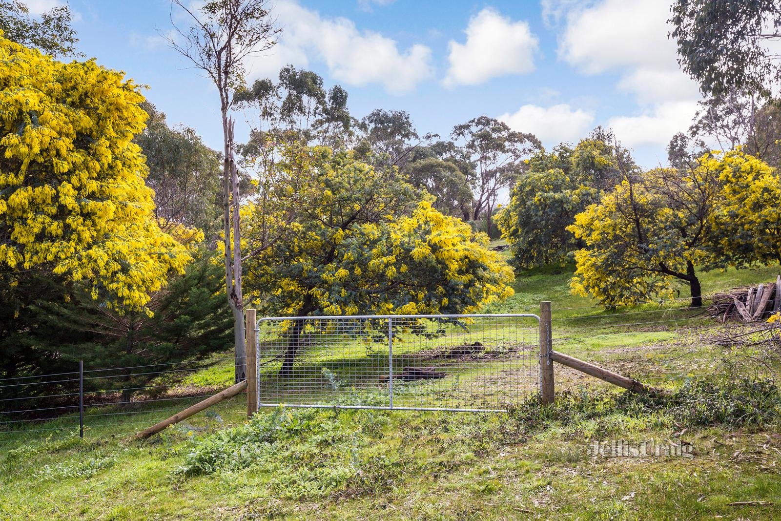 60 Franklin Street, Maldon image 5