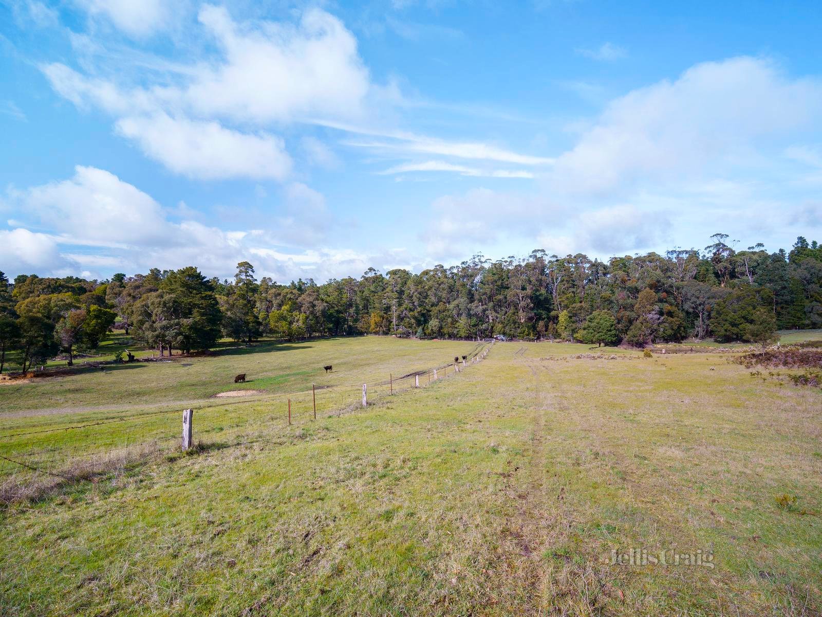 60 Gascoignes Lane, Linton image 10