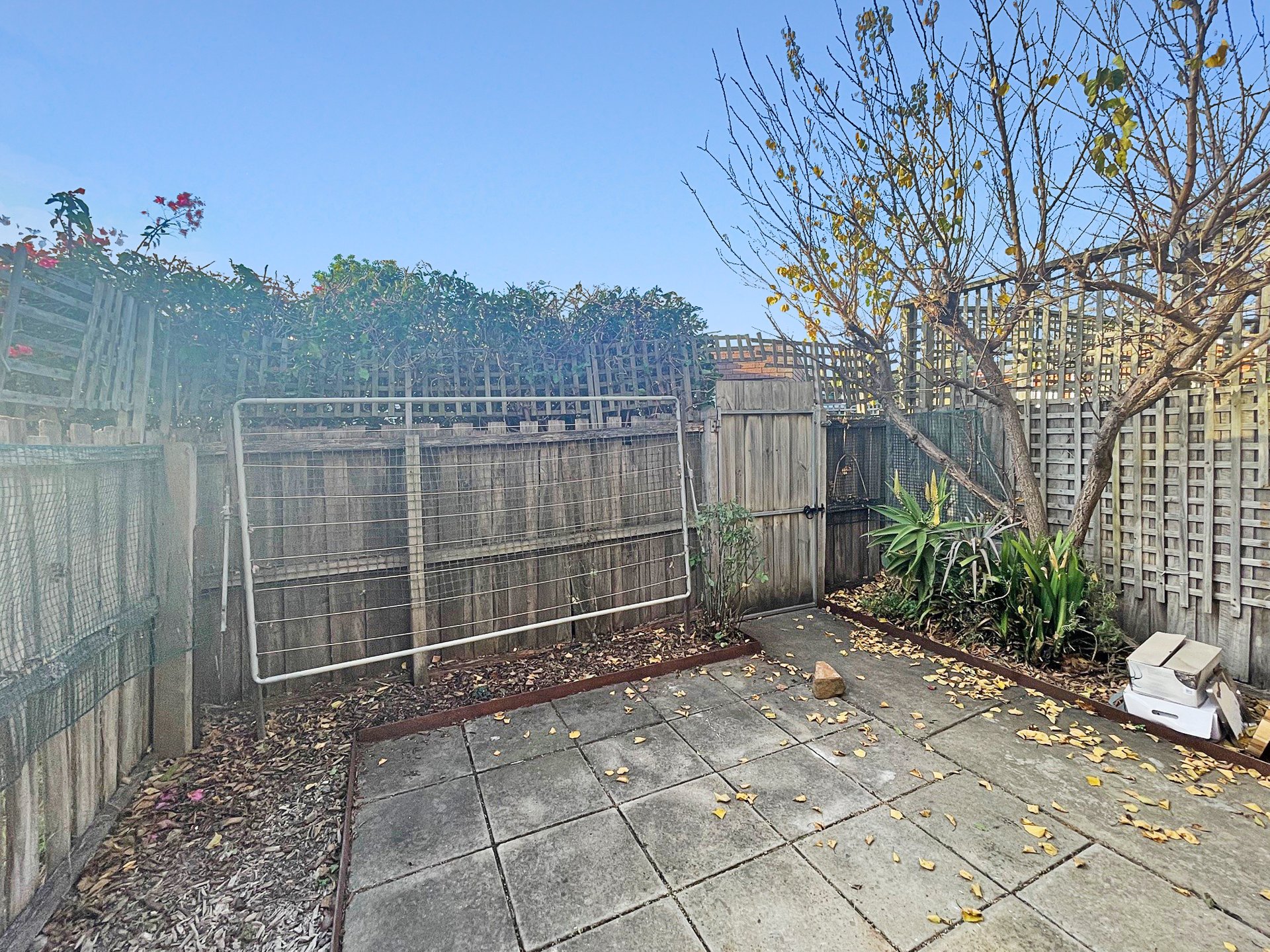 60 Hope Street, Geelong&nbsp;West image 7