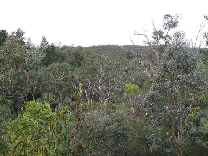 60 Kangaroo Ground-Warrandyte Road, Warrandyte image 5