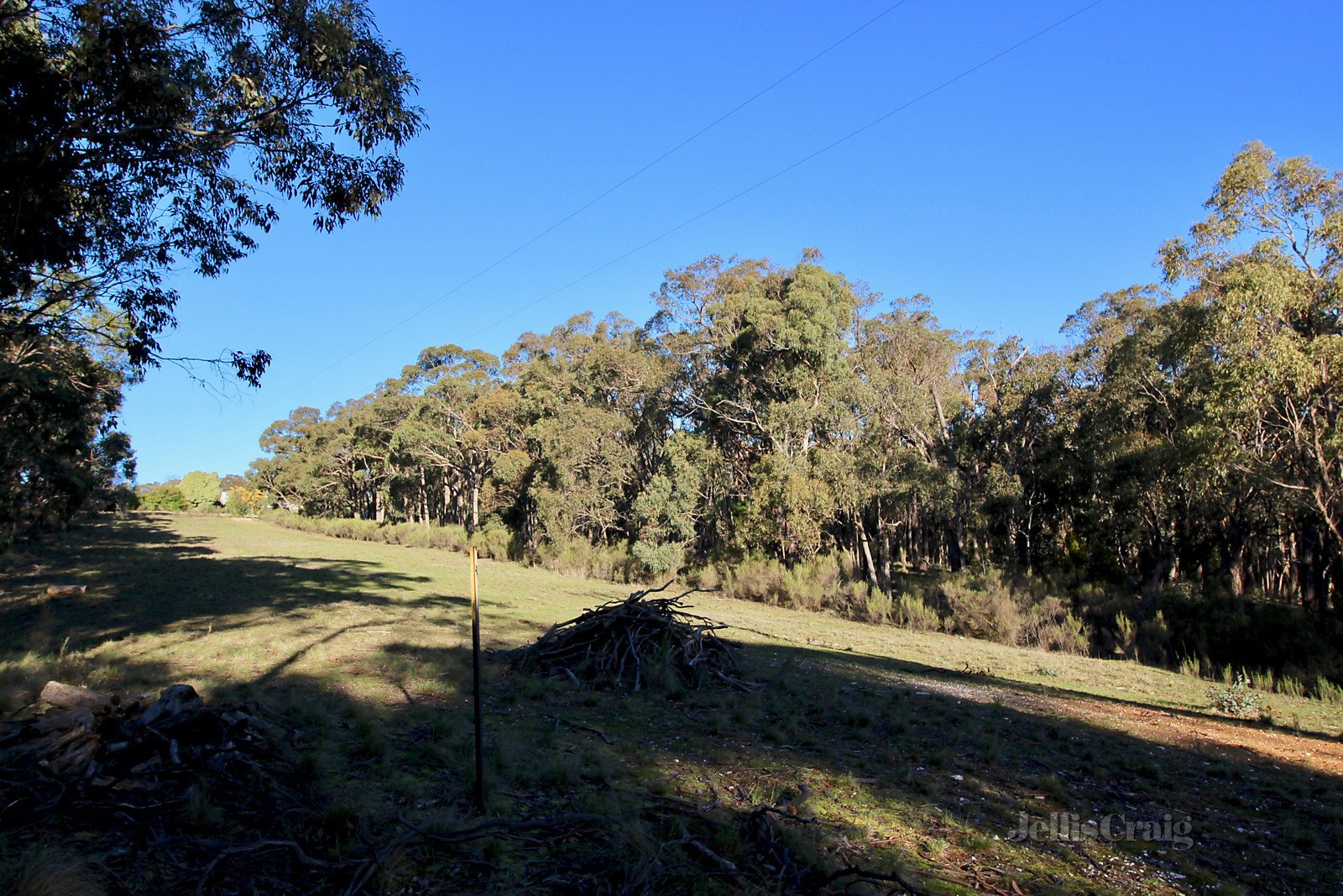 60 Reid Park Road, Mount Helen image 4