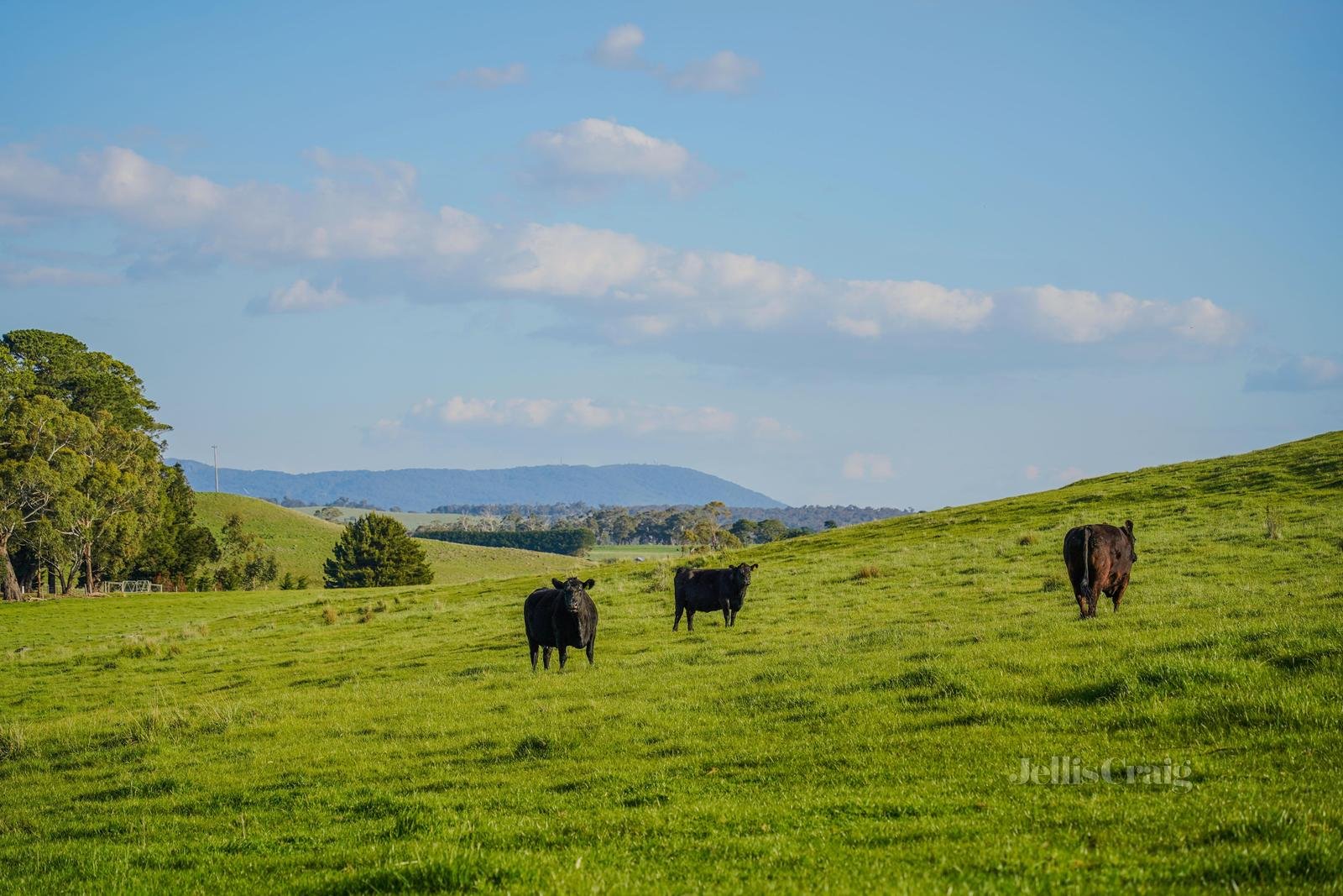 600 Baynton Road, Kyneton image 3