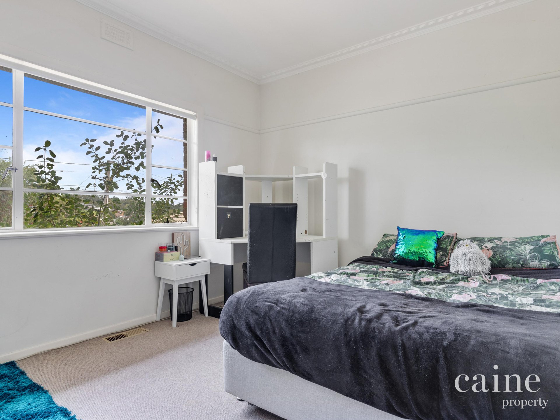 608 Tress Street, Golden Point image 7