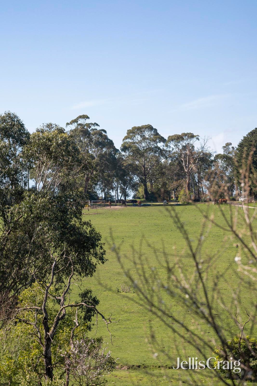 60a Hawthory Road, Kilsyth image 12