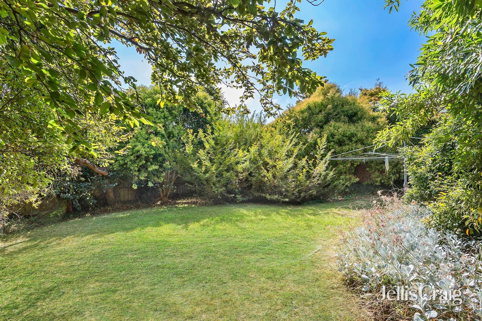 61 Argyle Road, Kew image 6