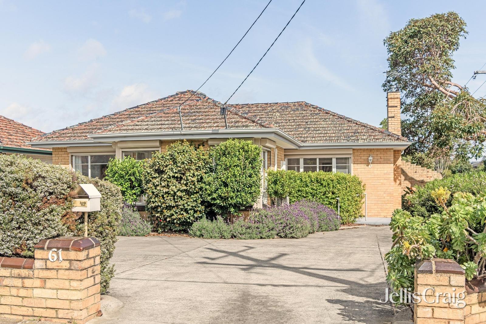 61 Mackie Road, Bentleigh&nbsp;East image 1