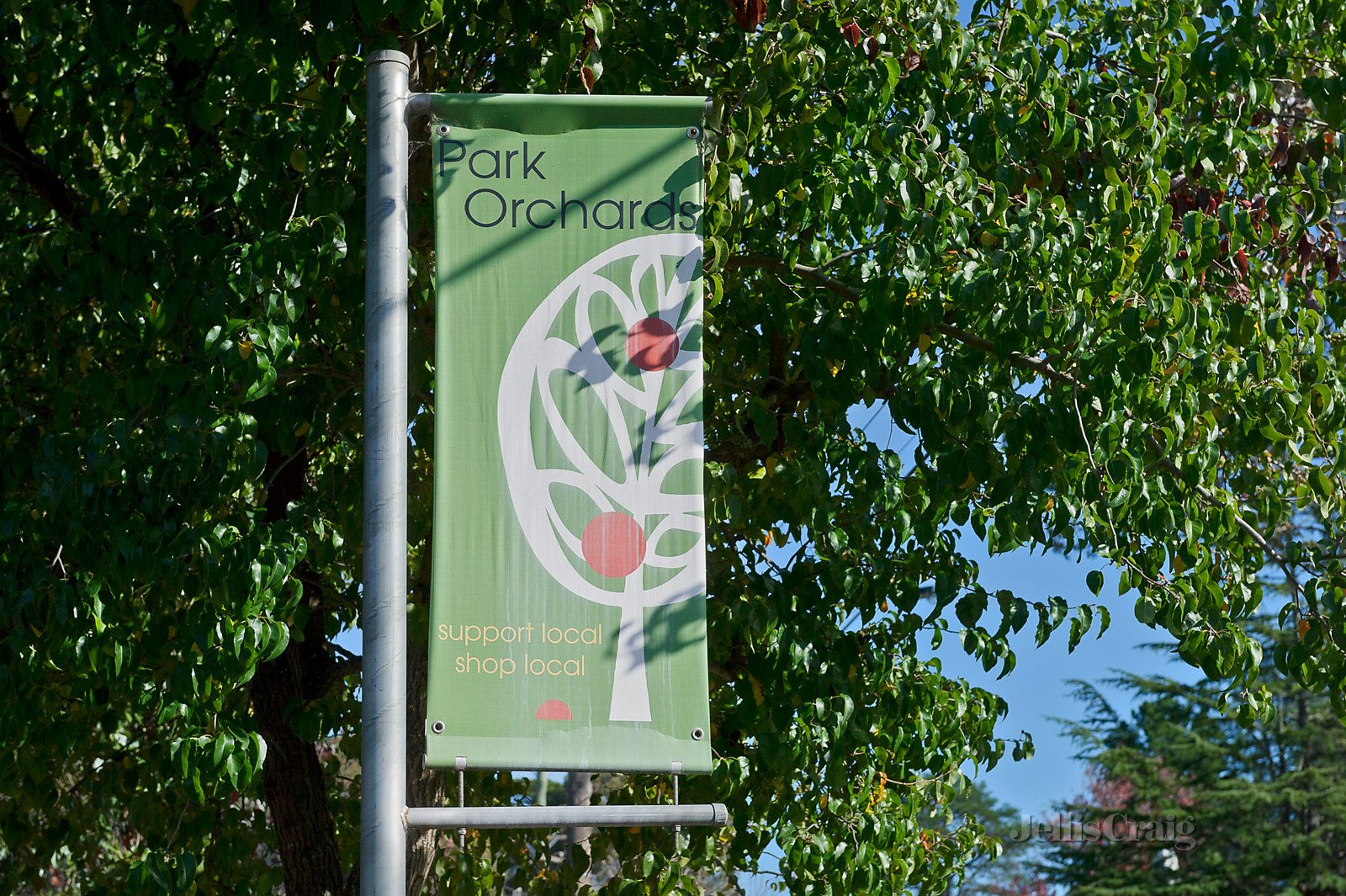 613 Park Road, Park Orchards image 10