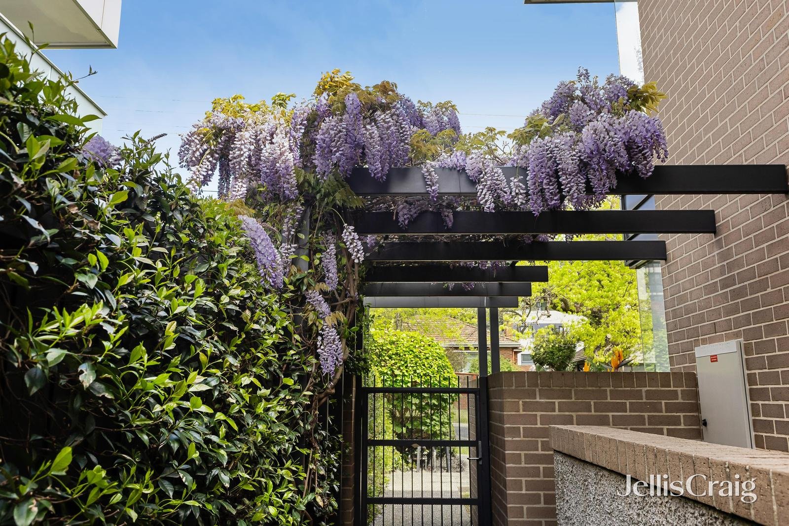 6/146 Thames Street, Box Hill North image 2