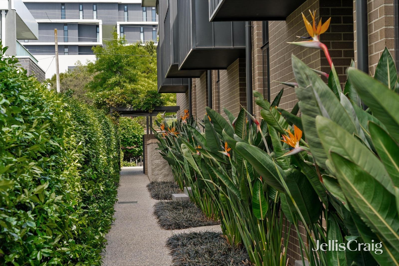 6/146 Thames Street, Box Hill North image 3