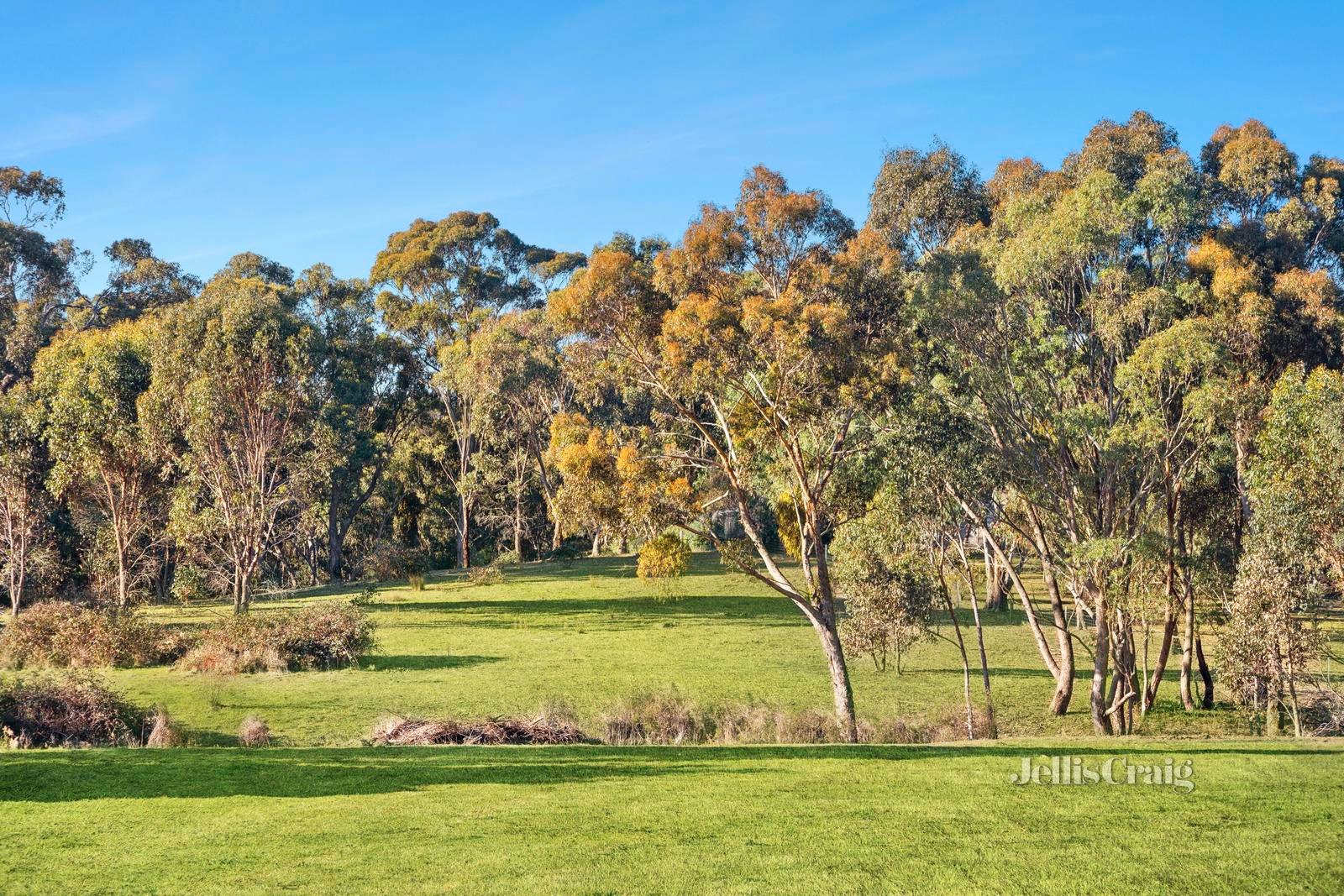 616 Pyrenees Highway, Chewton image 5