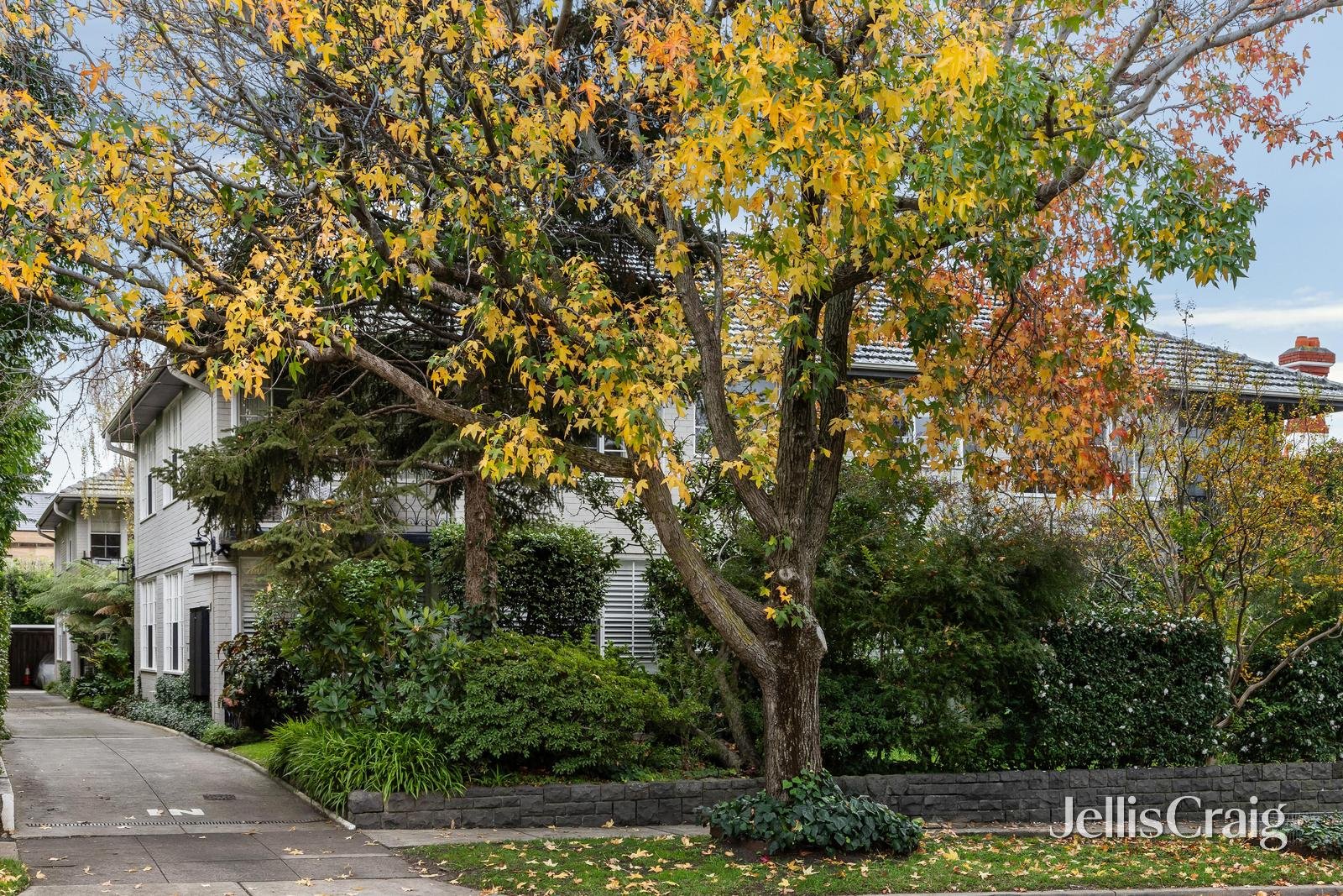 6/183 Kooyong Road, Toorak image 2