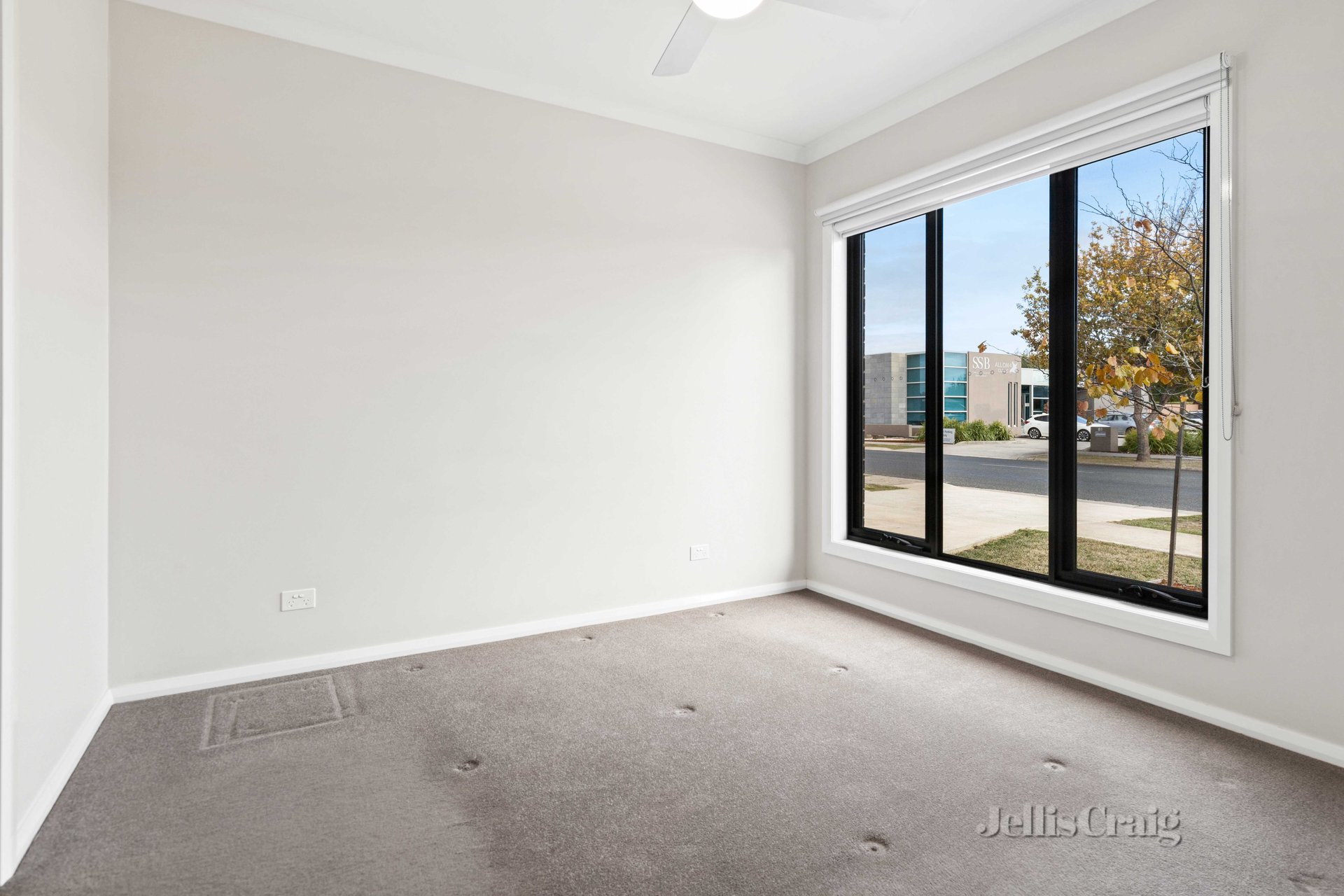 62 Elaine Avenue, Alfredton image 5