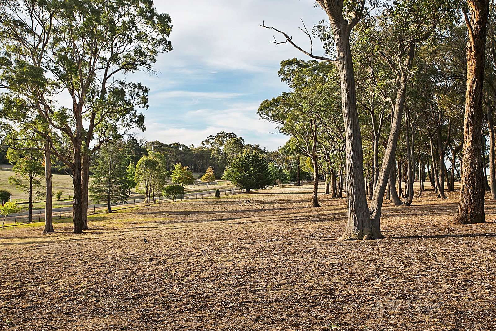 62 Potts Road, Taradale image 19